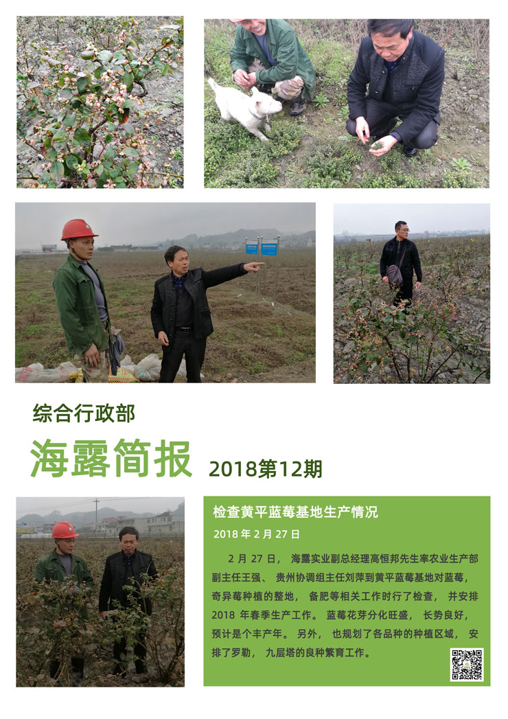 首页|bifa必发集团中国官方网站