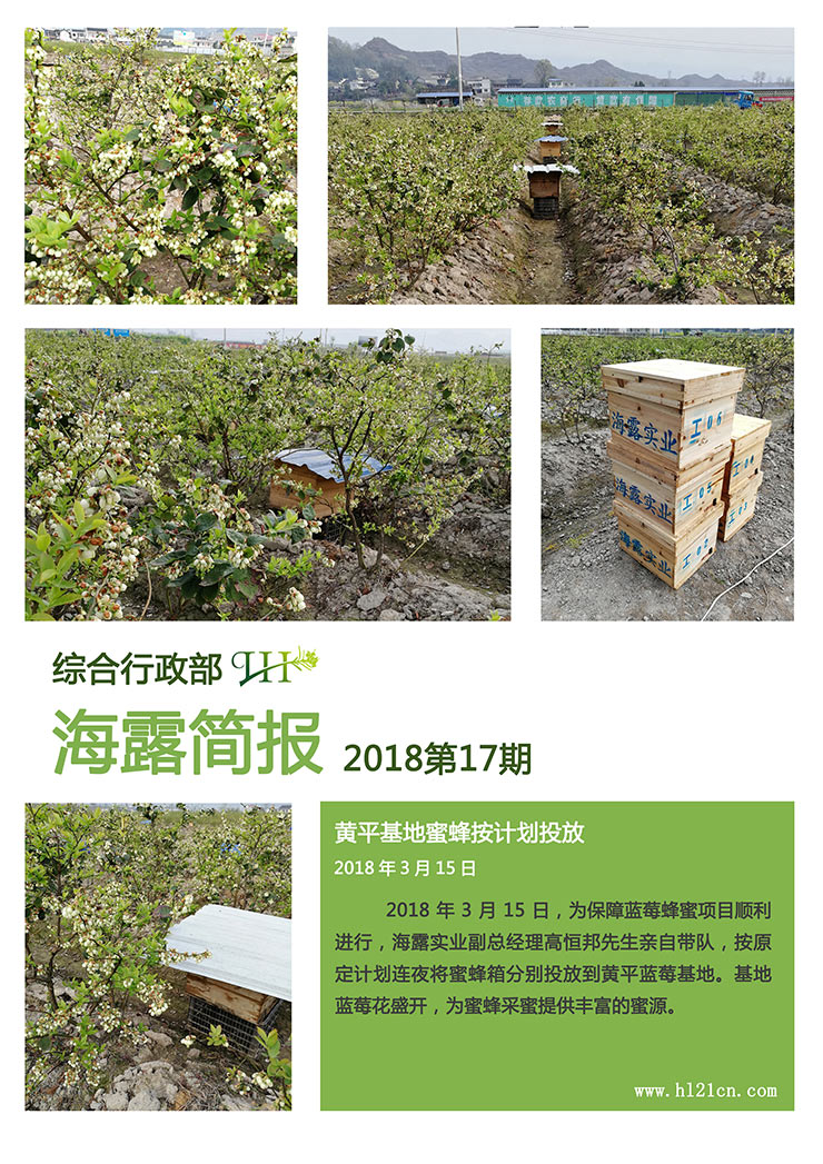 首页|bifa必发集团中国官方网站