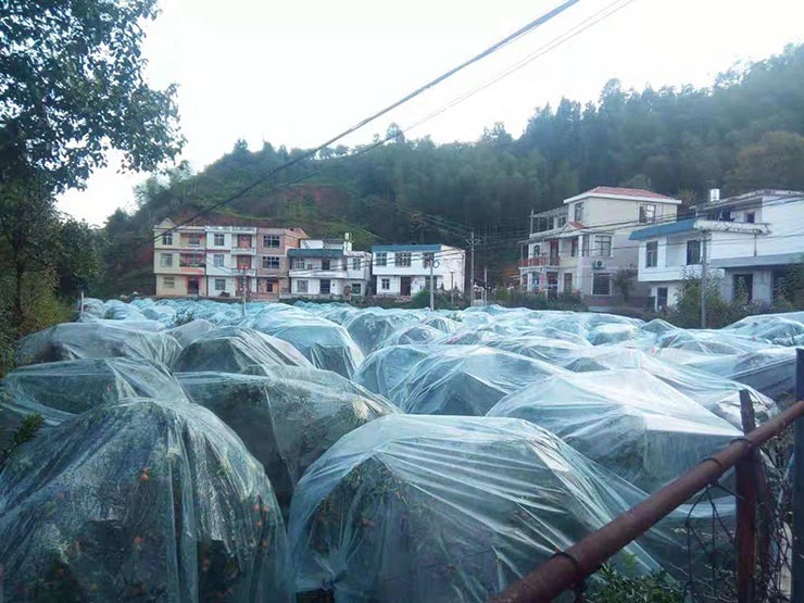 首页|bifa必发集团中国官方网站