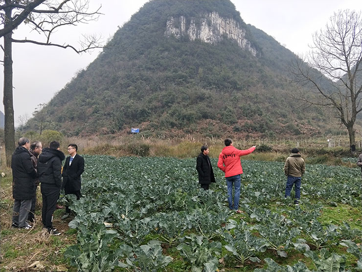 首页|bifa必发集团中国官方网站