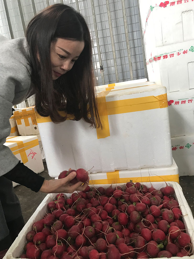 首页|bifa必发集团中国官方网站