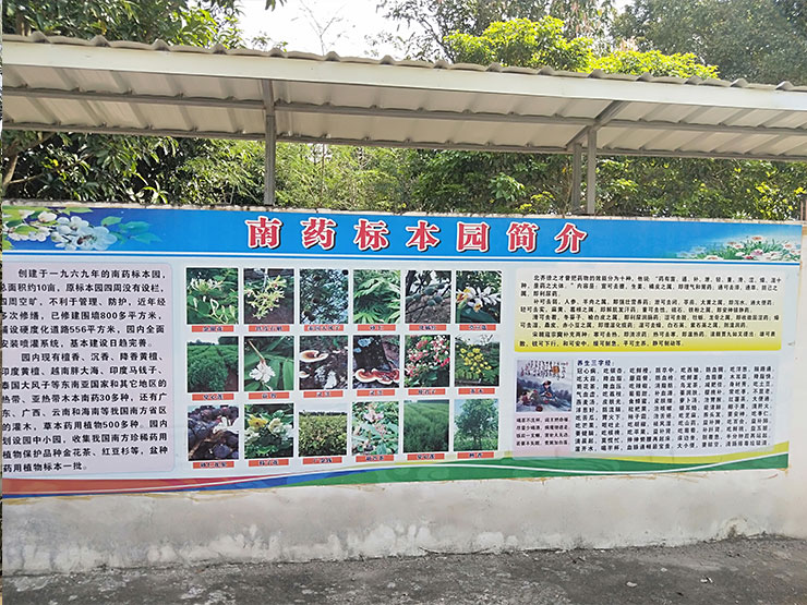 1-1Z21Q10J5128 首页|bifa必发集团中国官方网站