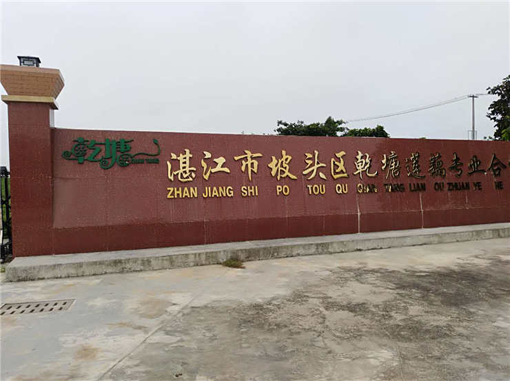 首页|bifa必发集团中国官方网站