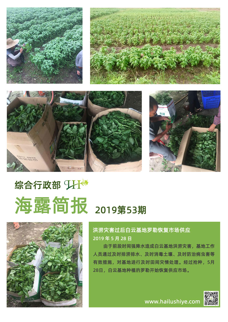 首页|bifa必发集团中国官方网站