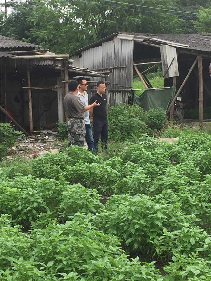 首页|bifa必发集团中国官方网站