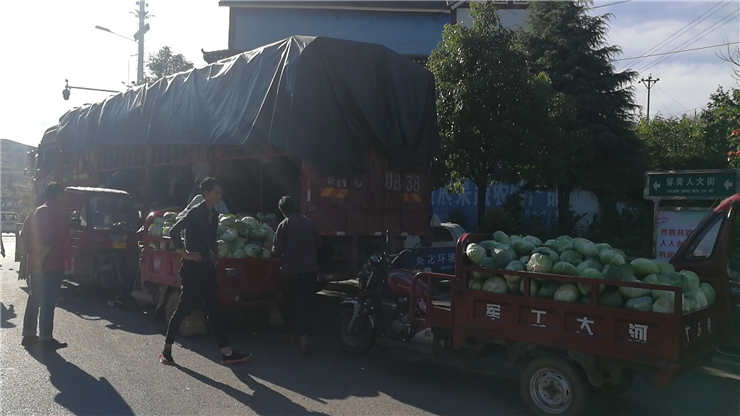 首页|bifa必发集团中国官方网站