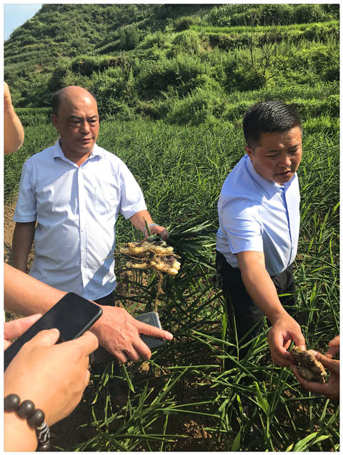 首页|bifa必发集团中国官方网站