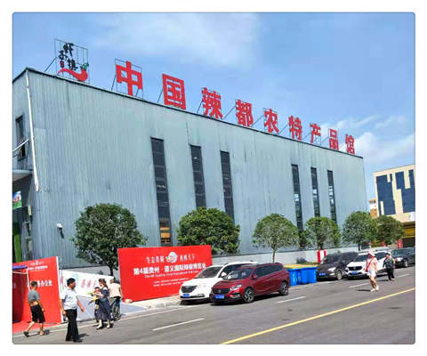1-1ZR31046491R 首页|bifa必发集团中国官方网站