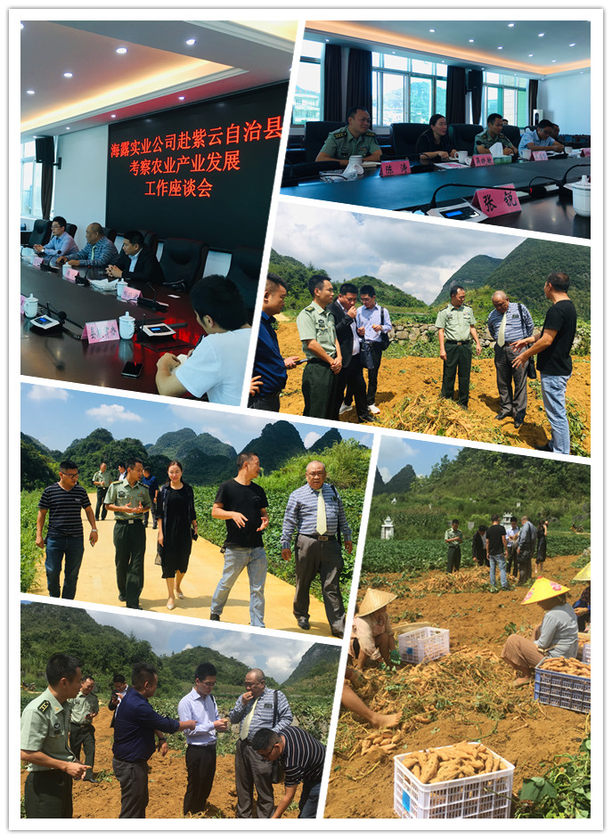 首页|bifa必发集团中国官方网站
