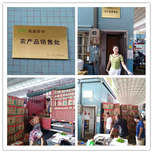 首页|bifa必发集团中国官方网站