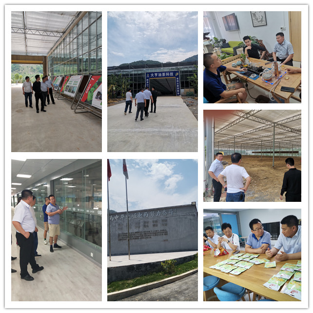首页|bifa必发集团中国官方网站