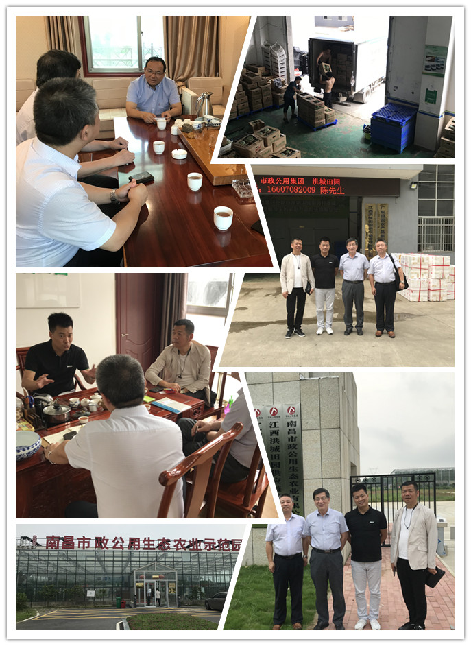 首页|bifa必发集团中国官方网站