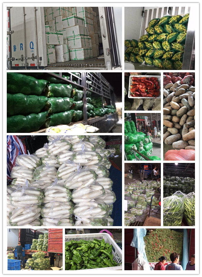 首页|bifa必发集团中国官方网站