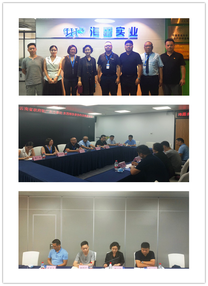 首页|bifa必发集团中国官方网站