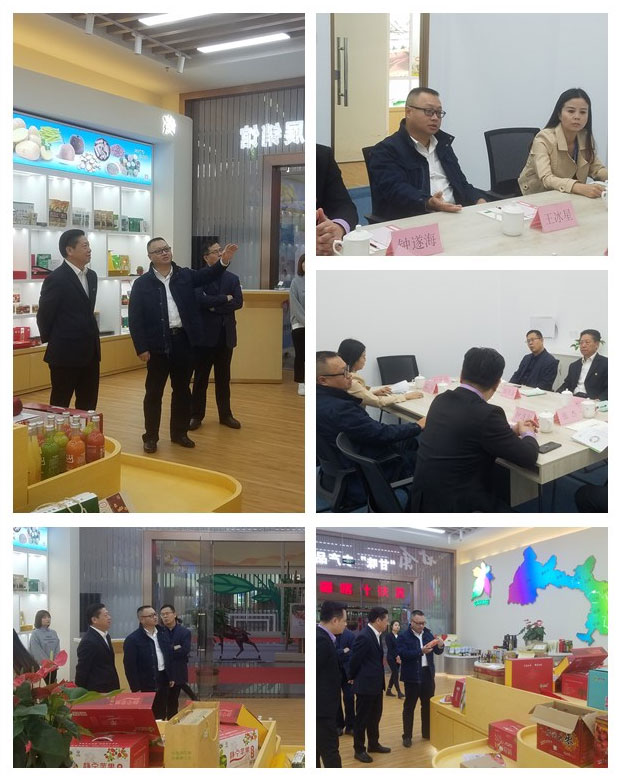 首页|bifa必发集团中国官方网站