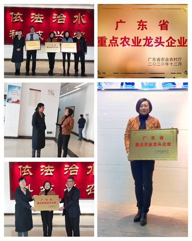首页|bifa必发集团中国官方网站