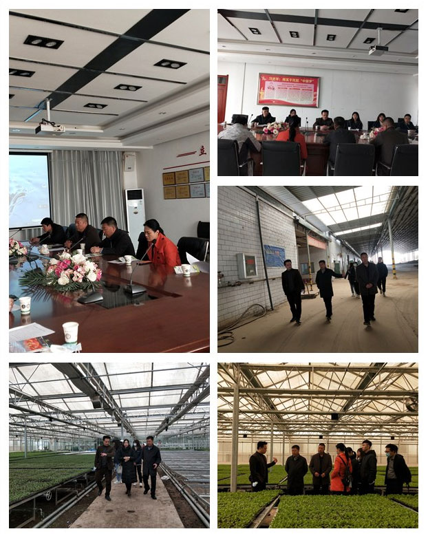 首页|bifa必发集团中国官方网站