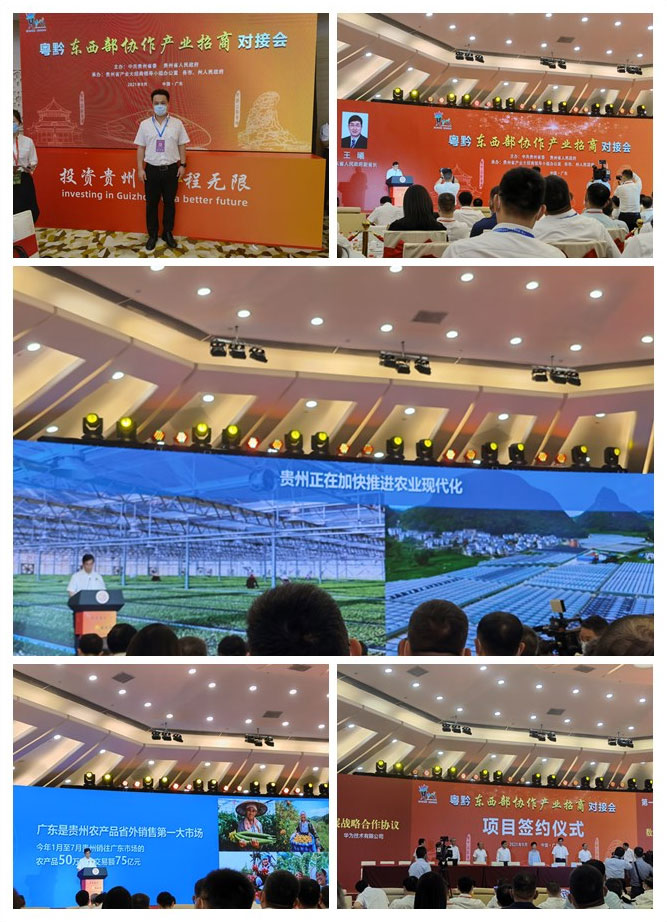 首页|bifa必发集团中国官方网站