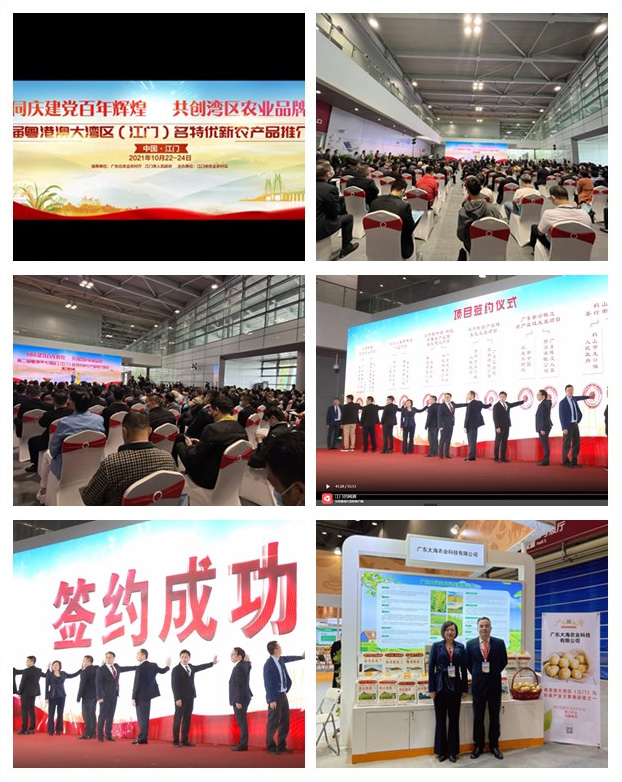 首页|bifa必发集团中国官方网站