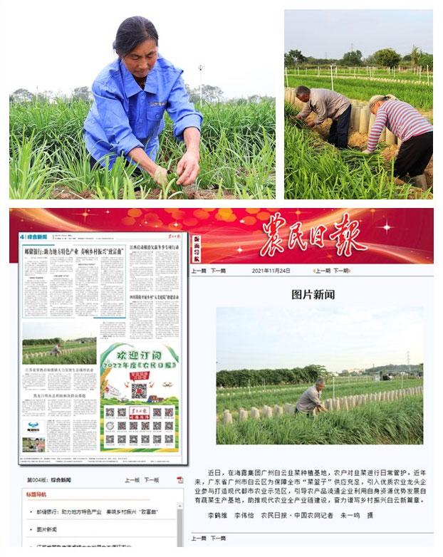 首页|bifa必发集团中国官方网站