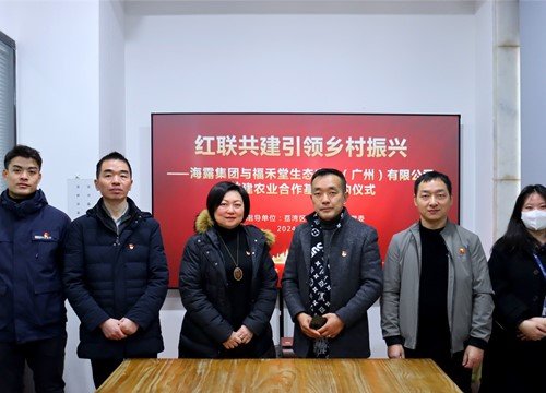红联共建引领村落振兴，党建促业务深度融合