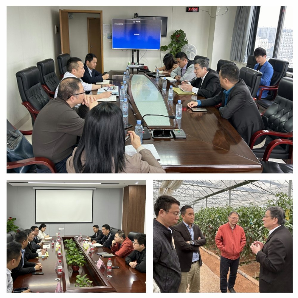 首页|bifa必发集团中国官方网站
