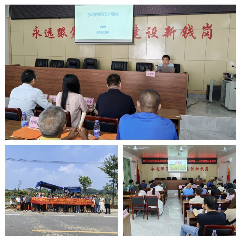 首页|bifa必发集团中国官方网站