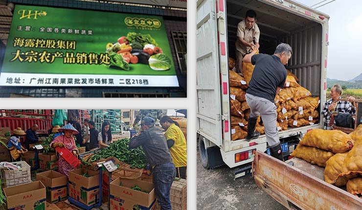 首页|bifa必发集团中国官方网站