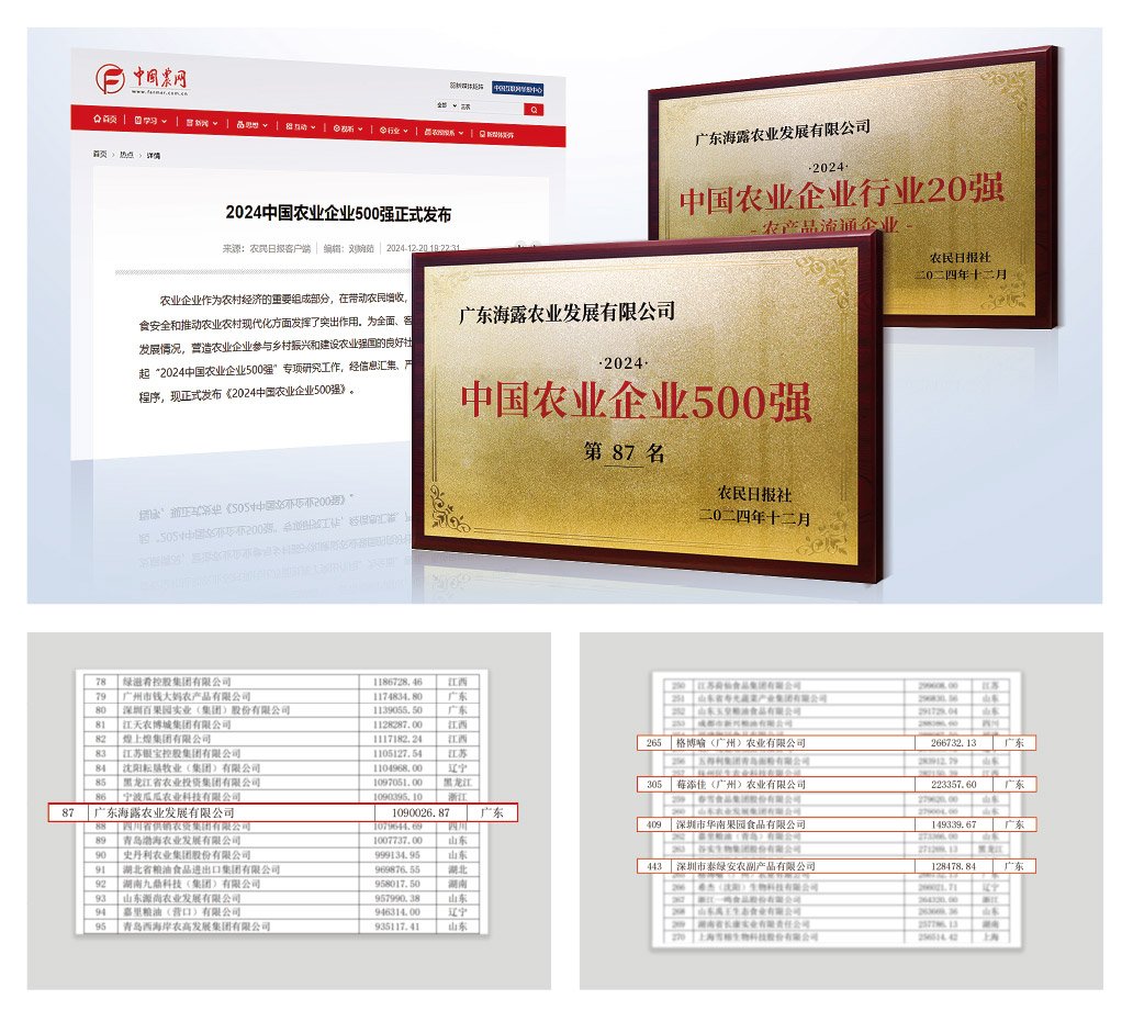 1-2412240943523B 首页|bifa必发集团中国官方网站