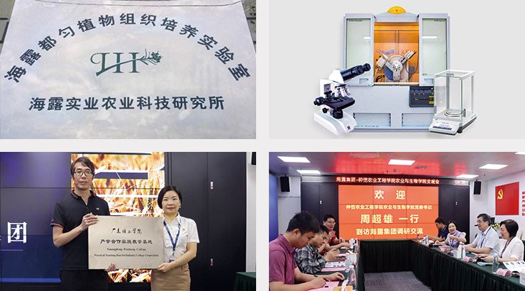 首页|bifa必发集团中国官方网站