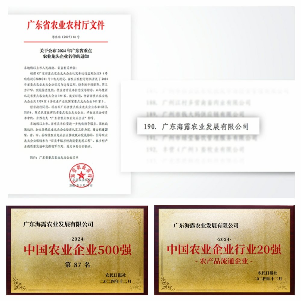 1-2506051411103H 首页|bifa必发集团中国官方网站