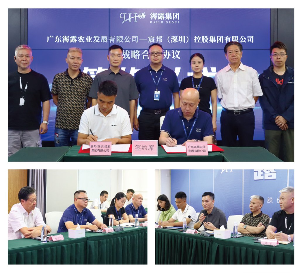 首页|bifa必发集团中国官方网站