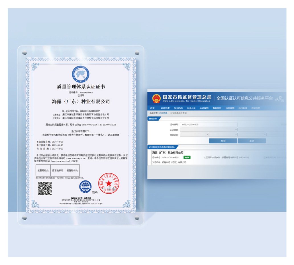 首页|bifa必发集团中国官方网站