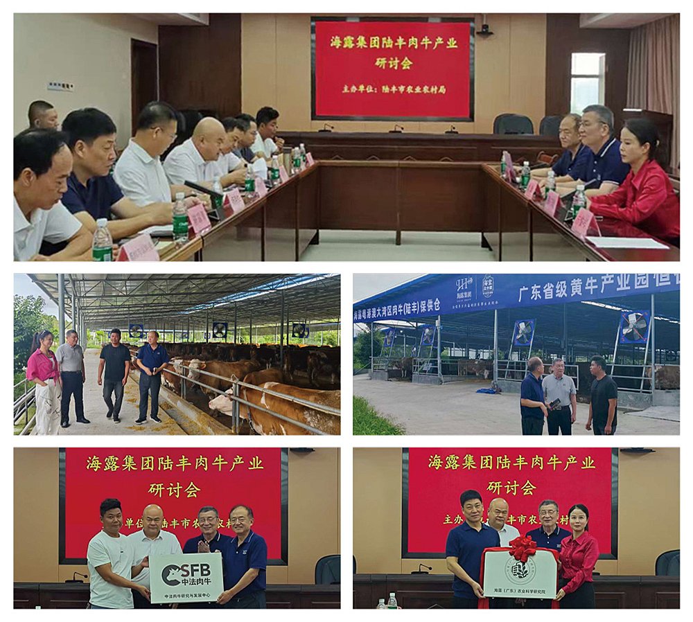 首页|bifa必发集团中国官方网站