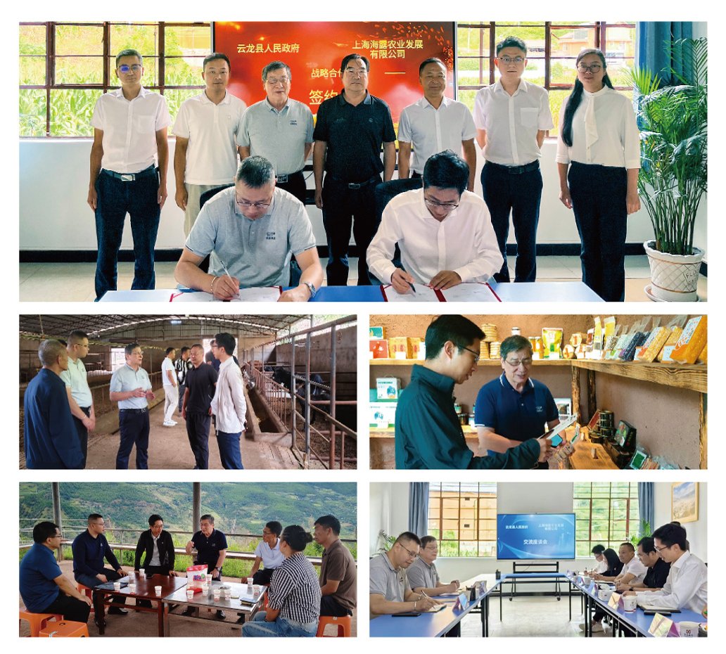 首页|bifa必发集团中国官方网站