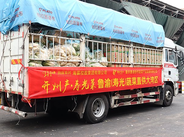 渠路赋能，集团助力沉庆开州蔬菜首发直供大湾区